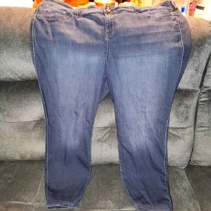 Torrid Jeggings